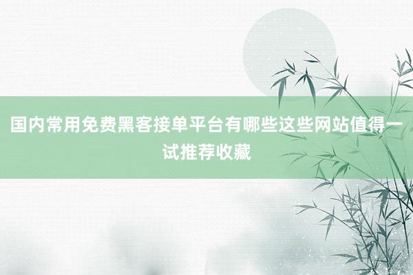 国内常用免费黑客接单平台有哪些这些网站值得一试推荐收藏